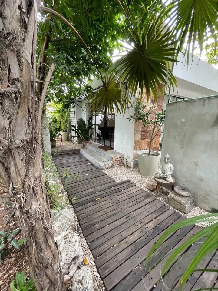 Pasillo de casa tradicional en mérida